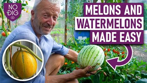 melonstube videos|Popular videos